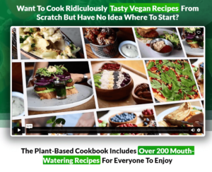 vegan recipes